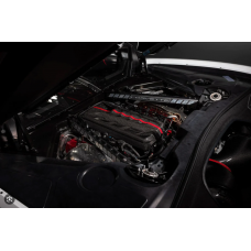 C8 Corvette Stingray Coupe Carbon Intake